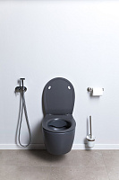 Allen Brau Fantasy Чаша подвесного унитаза 36,3x51 см каскадный смыв, цвет: антрацит 4.11004.AN