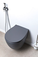 Allen Brau Fantasy Чаша подвесного унитаза 36,3x51 см каскадный смыв, цвет: антрацит 4.11004.AN