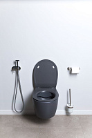 Allen Brau Fantasy Чаша подвесного унитаза 36,3x51 см каскадный смыв, цвет: антрацит 4.11004.AN