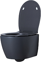 Allen Brau Fantasy Чаша подвесного унитаза 36,3x51 см каскадный смыв, цвет: антрацит 4.11004.AN