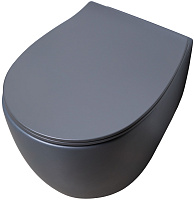 Allen Brau Fantasy Чаша подвесного унитаза 36,3x51 см каскадный смыв, цвет: антрацит 4.11004.AN