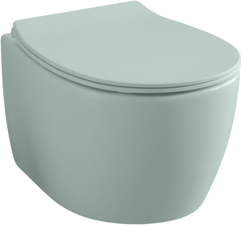 Allen Brau Fantasy Чаша подвесного унитаза 36,3x51 см каскадный смыв, цвет: мятный 4.11004.MT