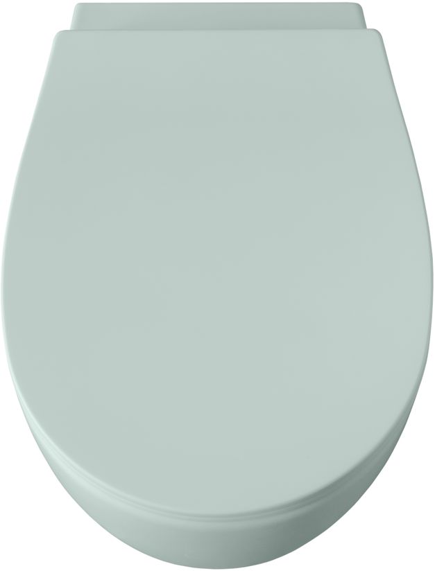 Allen Brau Fantasy Чаша подвесного унитаза 36,3x51 см каскадный смыв, цвет: мятный 4.11004.MT