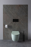 Allen Brau Fantasy Чаша подвесного унитаза 36,3x51 см каскадный смыв, цвет: мятный 4.11004.MT