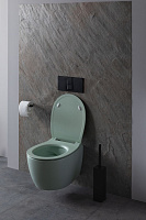 Allen Brau Fantasy Чаша подвесного унитаза 36,3x51 см каскадный смыв, цвет: мятный 4.11004.MT