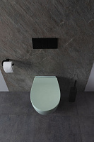 Allen Brau Fantasy Чаша подвесного унитаза 36,3x51 см каскадный смыв, цвет: мятный 4.11004.MT