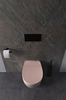 Allen Brau Fantasy Чаша подвесного унитаза 36,3x51 см каскадный смыв, цвет: розовый 4.11004.SM