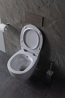 Allen Brau Fantasy Чаша подвесного унитаза 36,3x51 см каскадный смыв, цвет: белый глянцевый 4.11HC1.20