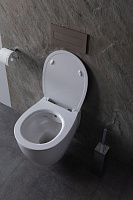 Allen Brau Fantasy Чаша подвесного унитаза 36,3x51 см каскадный смыв, цвет: белый глянцевый 4.11HC1.20