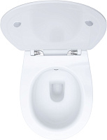 Allen Brau Fantasy Чаша подвесного унитаза 36,3x51 см каскадный смыв, цвет: белый глянцевый 4.11HC1.20