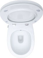 Allen Brau Fantasy Чаша подвесного унитаза 36,3x51 см каскадный смыв, цвет: белый глянцевый 4.11HC1.20