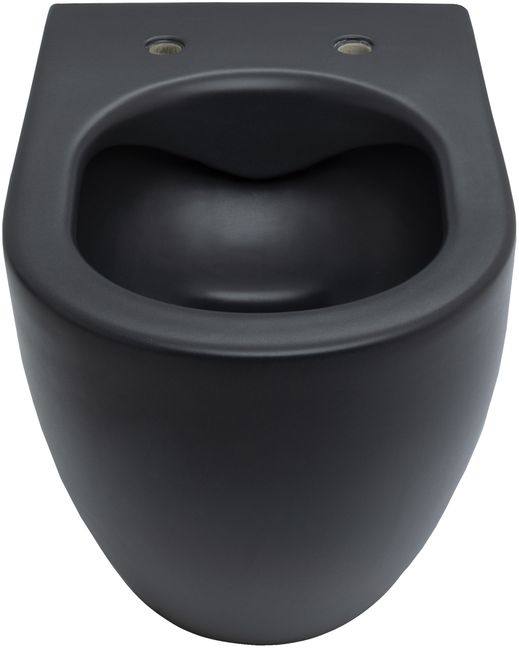Allen Brau Reality Чаша подвесного унитаза 36,5x53 см каскадный смыв, цвет: черный матовый 4.32006.31