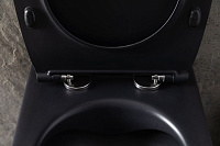 Allen Brau Reality Чаша подвесного унитаза 36,5x53 см каскадный смыв, цвет: черный матовый 4.32006.31