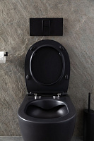 Allen Brau Reality Чаша подвесного унитаза 36,5x53 см каскадный смыв, цвет: черный матовый 4.32006.31