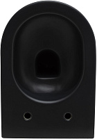 Allen Brau Reality Чаша подвесного унитаза 36,5x53 см каскадный смыв, цвет: черный матовый 4.32006.31