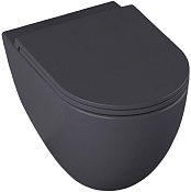 Allen Brau Reality Чаша подвесного унитаза 36,5x53 см каскадный смыв, цвет: антрацит 4.32006.AN