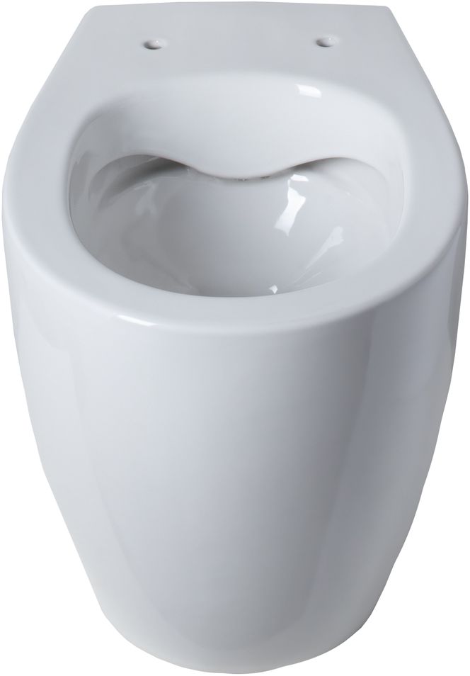 Allen Brau Fantasy Чаша приставного унитаза 36,3x52 см каскадный смыв, цвет: белый глянцевый 4.11007.20