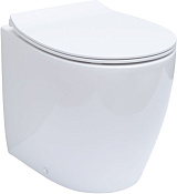 Allen Brau Fantasy Чаша приставного унитаза 36,3x52 см каскадный смыв, цвет: белый глянцевый 4.11007.20