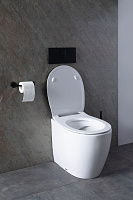 Allen Brau Fantasy Чаша приставного унитаза 36,3x52 см каскадный смыв, цвет: белый глянцевый 4.11007.20