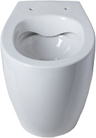 Allen Brau Fantasy Чаша приставного унитаза 36,3x52 см каскадный смыв, цвет: белый глянцевый 4.11007.20