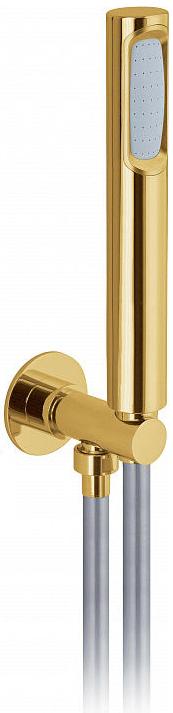 Webert Opera Душевой гарнитур, цвет: золото/серый AC0982010
