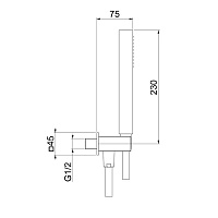 Webert Pegaso Душевой гарнитур, с шалнговым подсоединением, цвет: матовое золото AC1045794