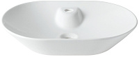 Allen Brau Fantasy Раковина чаша 60x42x14h см, без перелива, цвет: белый глянцевый 4.11020.20