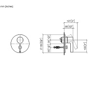 Dornbracht Vaia Смеситель для душа, встраиваемый, цвет: платина 36120809-08