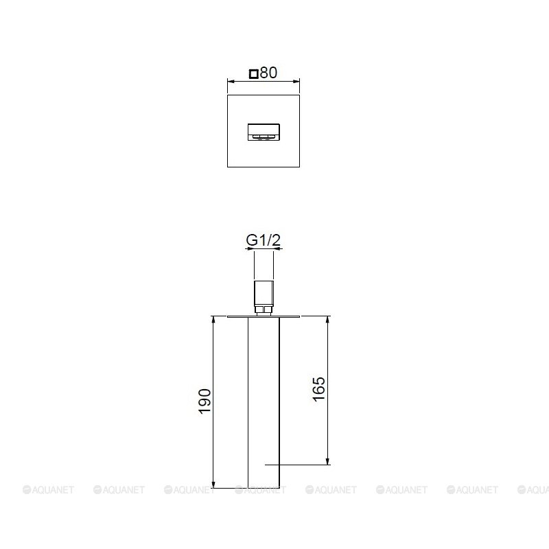 Webert Pegaso Излив настенный для душа, цвет: матовое золото AC0327794