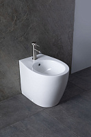 Allen Brau Fantasy Биде напольное 36,3x52 см, c 1 отв. под смеситель и переливом, цвет: белый глянц 4.11008.20