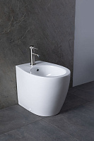 Allen Brau Fantasy Биде напольное 36,3x52 см, c 1 отв. под смеситель и переливом, цвет: белый глянц 4.11008.20