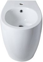 Allen Brau Fantasy Биде напольное 36,3x52 см, c 1 отв. под смеситель и переливом, цвет: белый глянц 4.11008.20