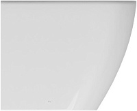 Allen Brau Reality Биде напольное 36,5x52 см, c 1 отв. под смеситель и переливом, цвет: белый глянц 4.32005.20