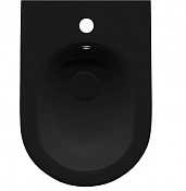 Allen Brau Reality Биде напольное 36,5x52 см, c 1 отв. под смеситель и переливом, цвет: черный мат 4.32005.31