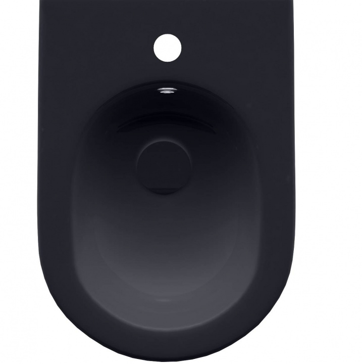 Allen Brau Reality Биде напольное 36,5x52 см, c 1 отв. под смеситель и переливом, цвет: антрацит 4.32005.AN