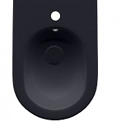 Allen Brau Reality Биде напольное 36,5x52 см, c 1 отв. под смеситель и переливом, цвет: антрацит 4.32005.AN