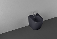 Allen Brau Reality Биде напольное 36,5x52 см, c 1 отв. под смеситель и переливом, цвет: антрацит 4.32005.AN