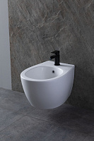 Allen Brau Fantasy Биде подвесное 36,3x51 см, c 1 отв. под смеситель и переливом, цвет: белый глянц 4.11006.20