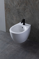 Allen Brau Fantasy Биде подвесное 36,3x51 см, c 1 отв. под смеситель и переливом, цвет: белый глянц 4.11006.20