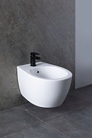 Allen Brau Fantasy Биде подвесное 36,3x51 см, c 1 отв. под смеситель и переливом, цвет: белый глянц 4.11006.20