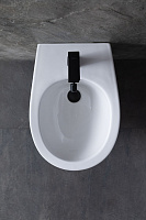 Allen Brau Fantasy Биде подвесное 36,3x51 см, c 1 отв. под смеситель и переливом, цвет: белый глянц 4.11006.20