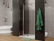 Allen Brau Priority Душевая дверь распашная 100x200h см, стекло тонир. 6 мм, Easy Clean, цвет: хром 3.31004.00G