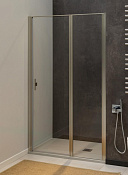 Allen Brau Priority Душевая дверь распашная 120x200h см, стекло прозрачное 6 мм, цвет: серебро браш 3.31008.BA