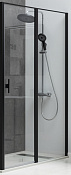 Allen Brau Priority Душевая дверь распашная 120x200h см, стекло прозрачное 6 мм, цвет: черный браш 3.31009.BBA