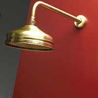 Webert Karenina Верхний душ 46х20хh20,7 см, цвет: бронза AC0014065