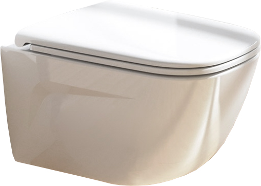 Catalano New Light Крышка-сиденье для унитаза с микролифтом, цвет: белый глянцевый 5LIFRF00