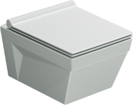 Catalano Star Крышка-сиденье для унитаза с микролифтом, цвет: белый глянцевый 5ZSSTP00