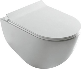 Galassia Dream Крышка-сиденье для унитаза, с микролифтом, цвет: белый глянцевый 7314