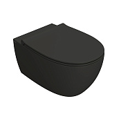 Globo 4All Унитаз подвесной безободковый, с креплением, 54х36 см, цвет: smoke матовый MDS03SK