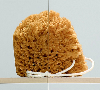 Душевая дверь в нишу Radaway Eos II DWJ 80 L 3799440-01L